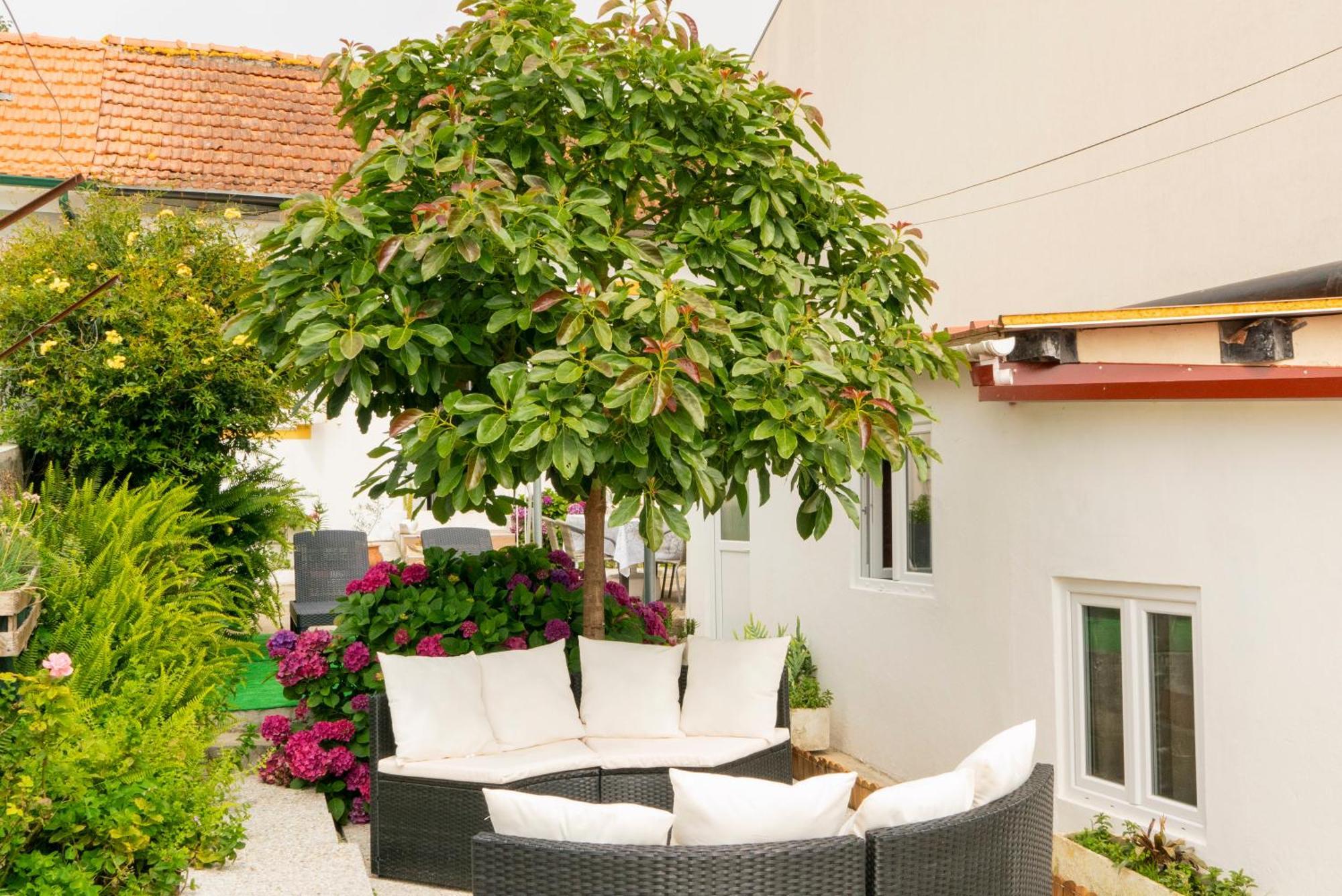 Bed and Breakfast Growth House OOporto Esterno foto